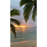 《-~-sunset-~-》