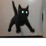 vyxnot