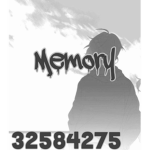 memoryW