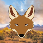 Eyes of the Jackal