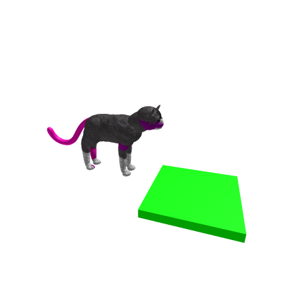 heart cat 