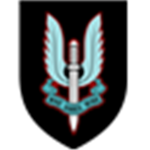 S.A.S spy's