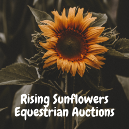 * ~ Rising Sunflowers Auctions V2 ~ *