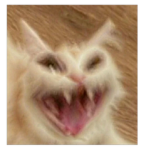 Oi oI mundo