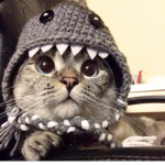 swaggy kitz
