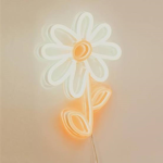 ~Lil Daisies~