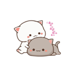 cute litle cats