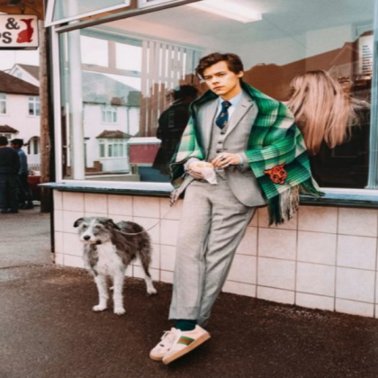 harry styles with a dog Roblox decal