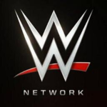 WWE Wrestling Fan Club