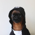 The Dog Peeps