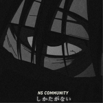 Nix Shad Community
