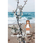 Aqua's Aesthetic Ocean