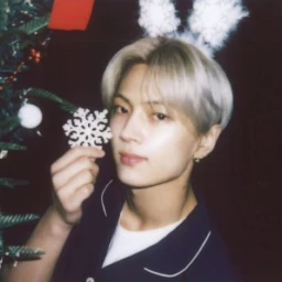 ⋆｡🎄˚❆˚🧣 ｡⋆ icon