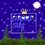 Shy gruop