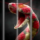 ⚠️ SCP Snake Containment!