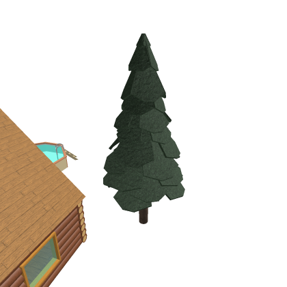 Forest house
