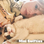Mini Swifties