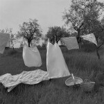 𝙥𝙡𝙚𝙖𝙨𝙚