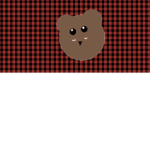 Teddy Cult Club