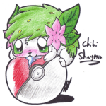shaymin squad