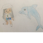 DolphinsForever