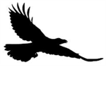 Raven Apparel