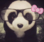 Chloe’s Pandas