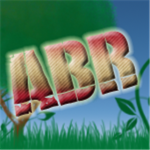 Advanced Builders of ROBLOX