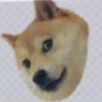 Gzhu official group Group Thumbnail