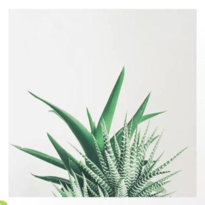 plants aesthetic Roblox decal