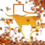 Seguin State Roleplay Whitelisted Operations