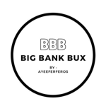 BIG BANK BUX