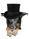 DaDoggoClan
