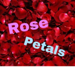 Rose Petals Clothing