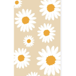 Cocomelon123456