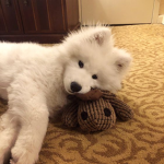 taking a nap