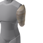 Mini El Gato Cat - Left Arm