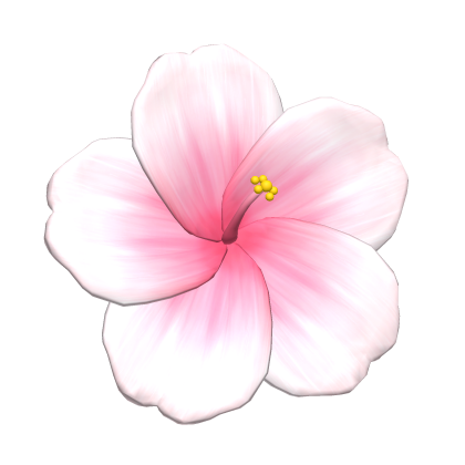 Pink Summer Hibiscus