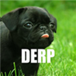 The Pug obby