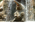 ELEPHANT SQAUD