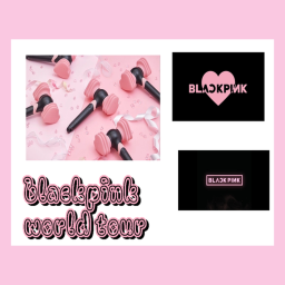 Black Pink world tour 🌸⚫🇰🇷