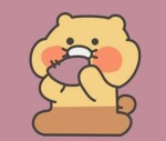 (kimchi group)