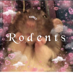 Magic r0dents