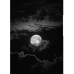 The #### moon group