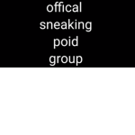 Offical sneaking p o i d group