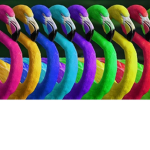 The Colorful Flamingos