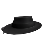 Black fedora