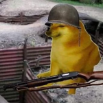 Cheems Gang: Elite Training Program