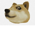 I’m a bird and a dog