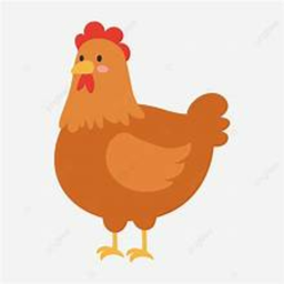 Chicken Run